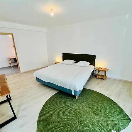 Semesterbostad Hypercentre, Spacieux, Lumineux, La Maison Du Rempart