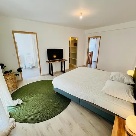 Hypercentre, Spacieux, Lumineux, La Maison Du Rempart * Tours