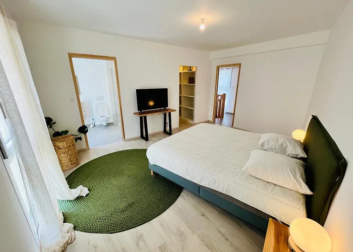 Hypercentre, Spacieux, Lumineux, La Maison Du Rempart * Tours